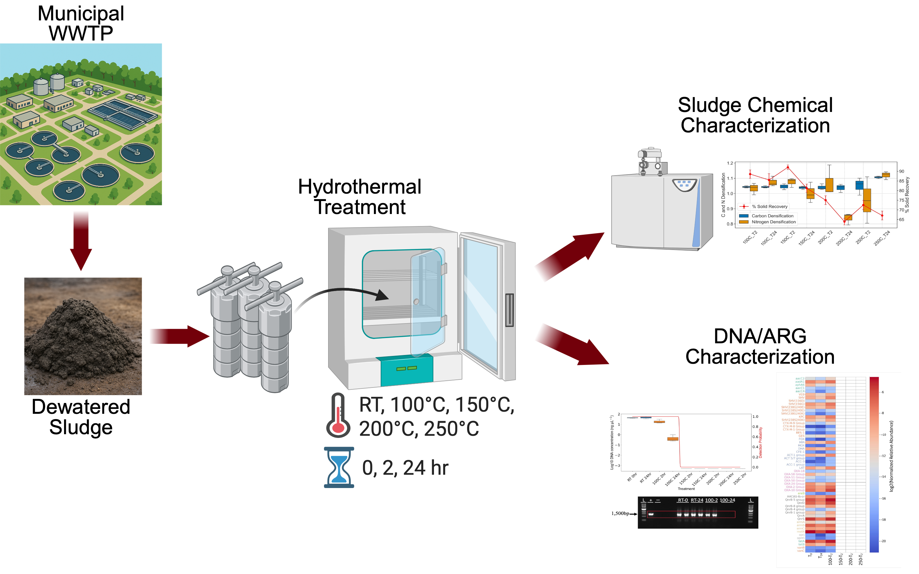 AMR figure 3