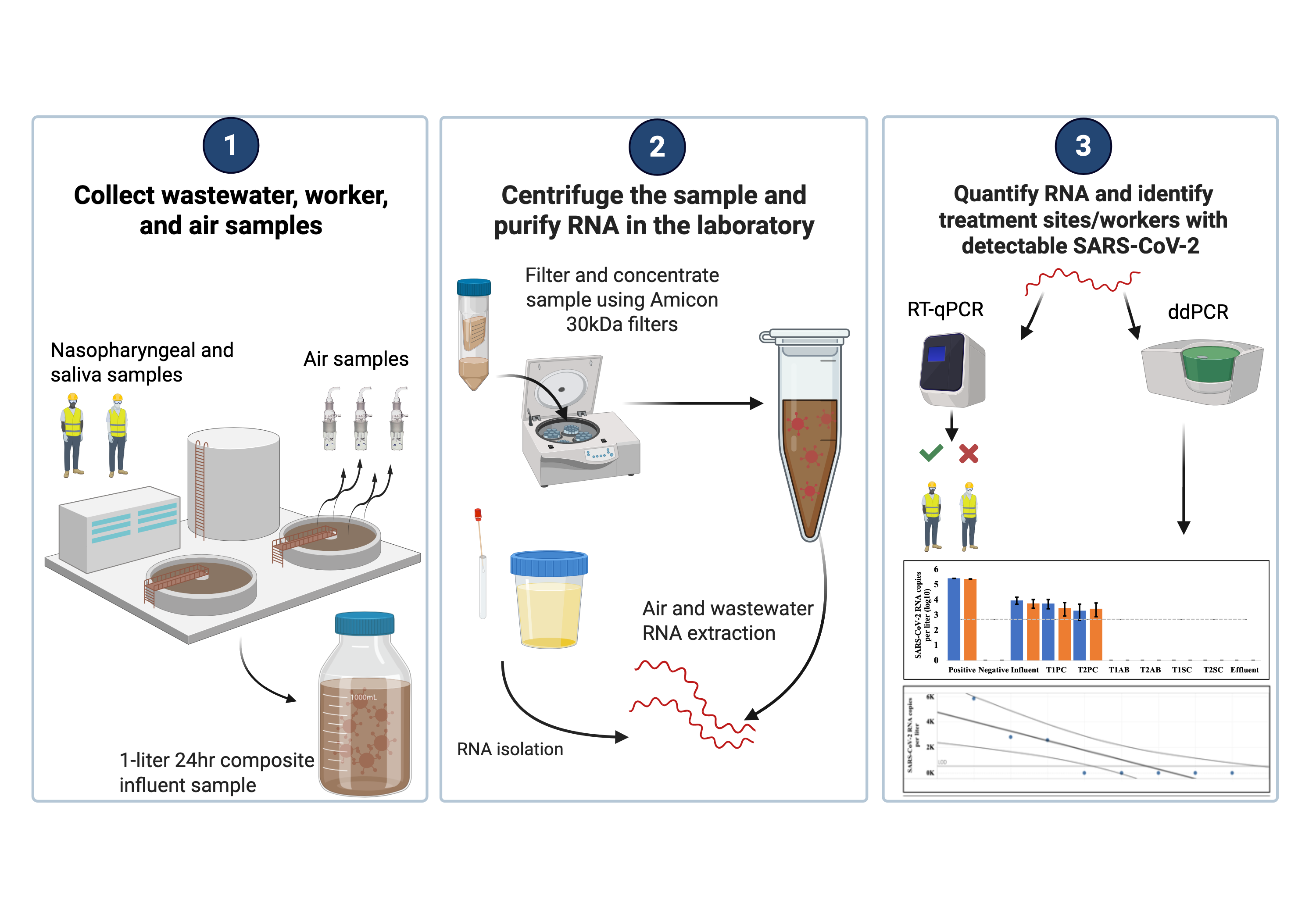 SARS-CoV-2 wastewater surveillance figure 1