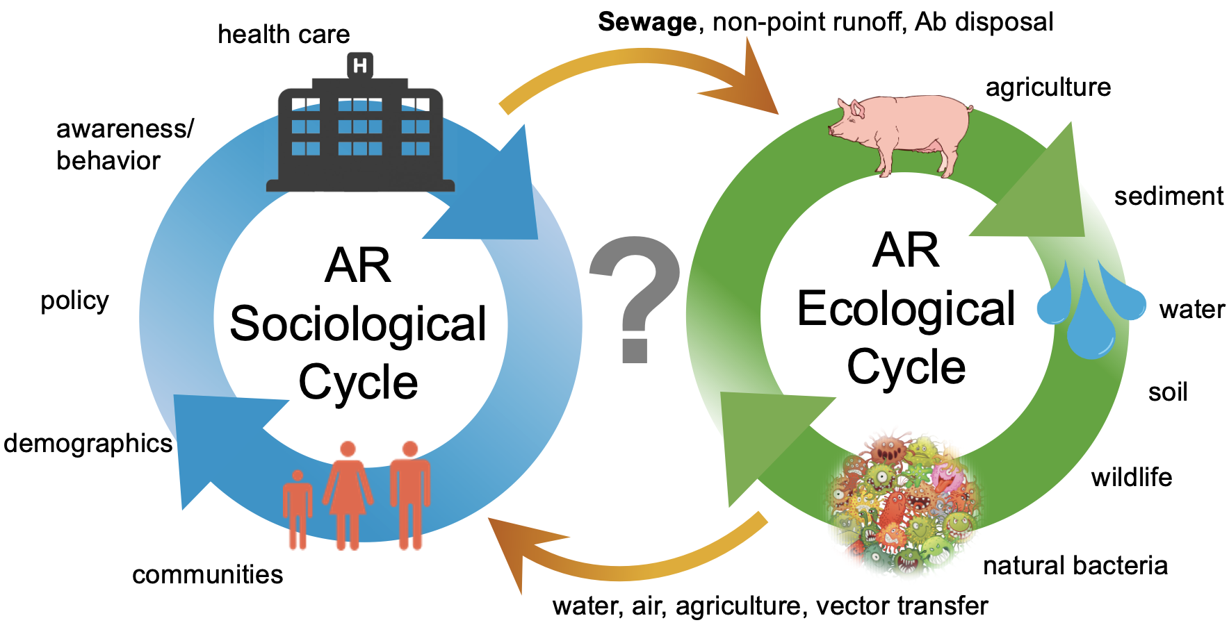 AMR diagram