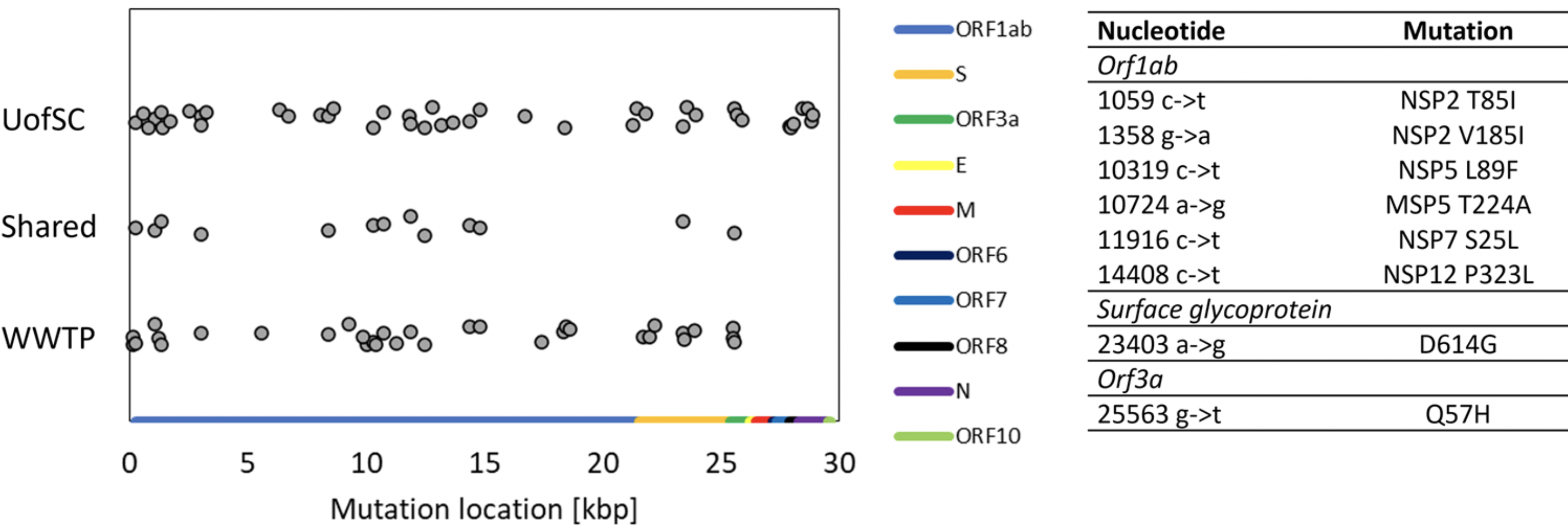 SARS-CoV-2 genomic surveillance