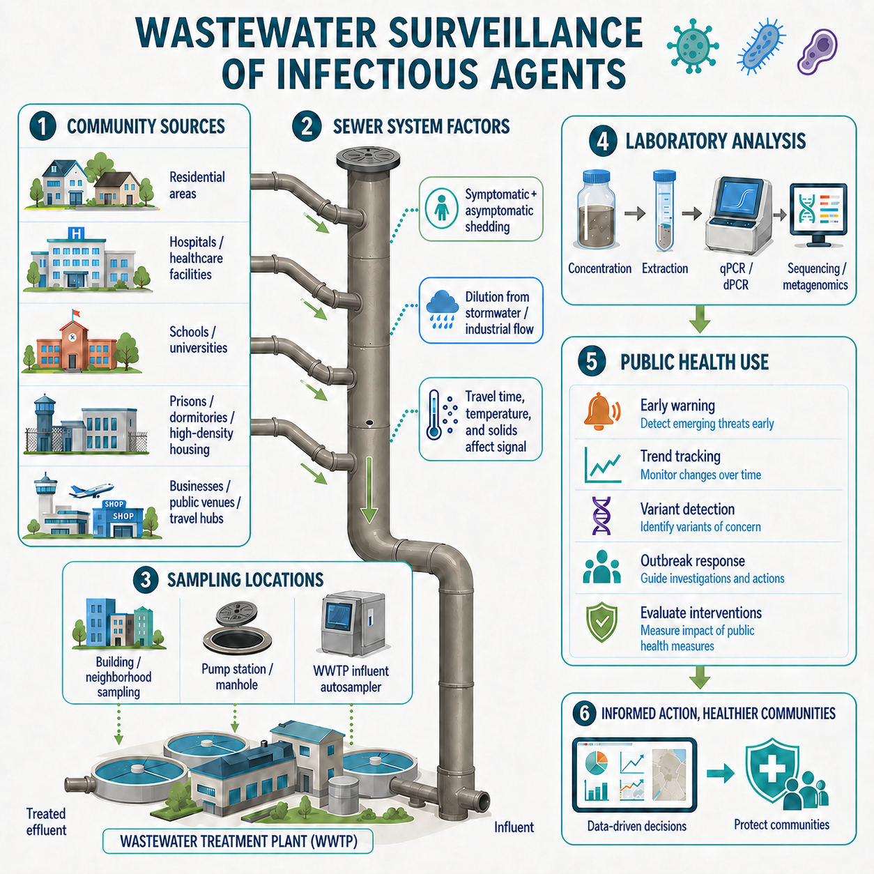 Wastewater surveillance of infectious agents process diagram